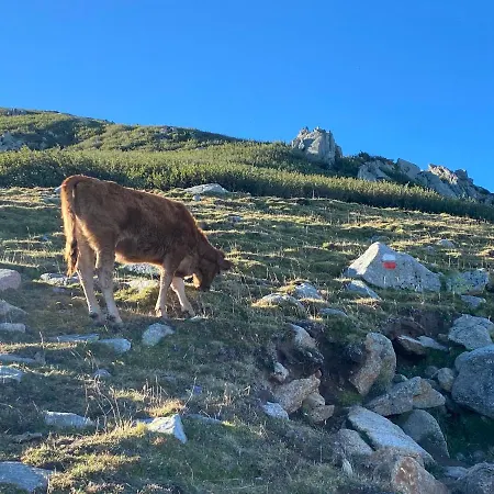 Διαμέρισμα Cala Rossa - Porto-vecchio - A Pied