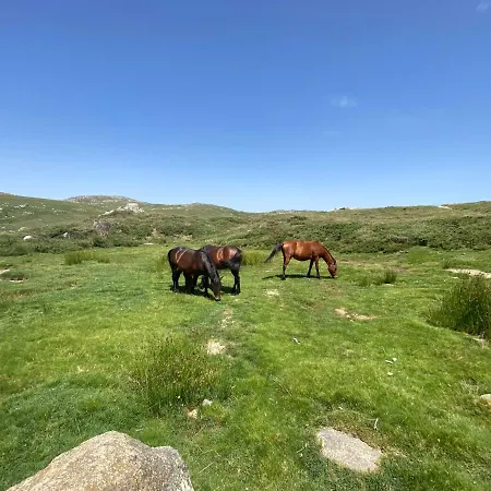 Διαμέρισμα Cala Rossa - Porto-vecchio - A Pied Lecci