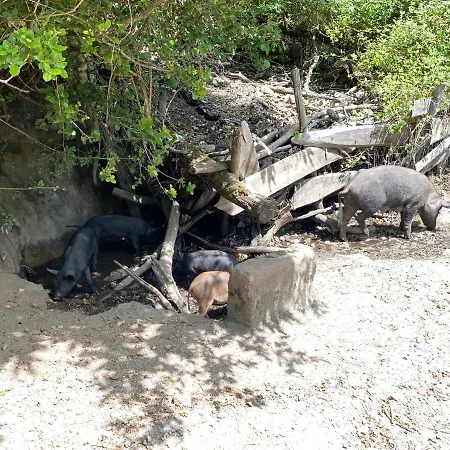 Cala Rossa - Porto-vecchio - A Pied Apartment Lecci