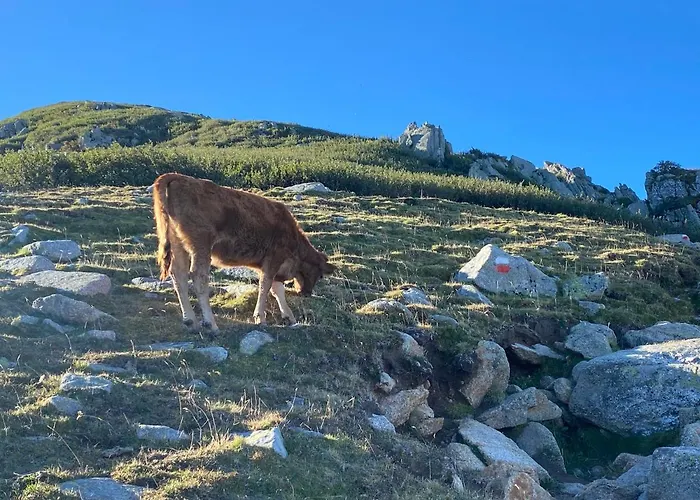 Apartmán Cala Rossa - Porto-vecchio - A Pied