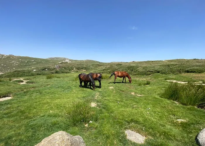 Apartmán Cala Rossa - Porto-vecchio - A Pied Lecci