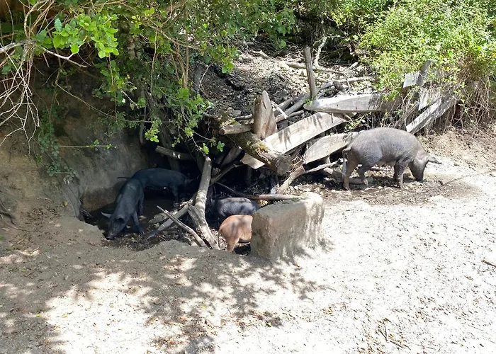 Cala Rossa - Porto-vecchio - A Pied Apartmán Lecci